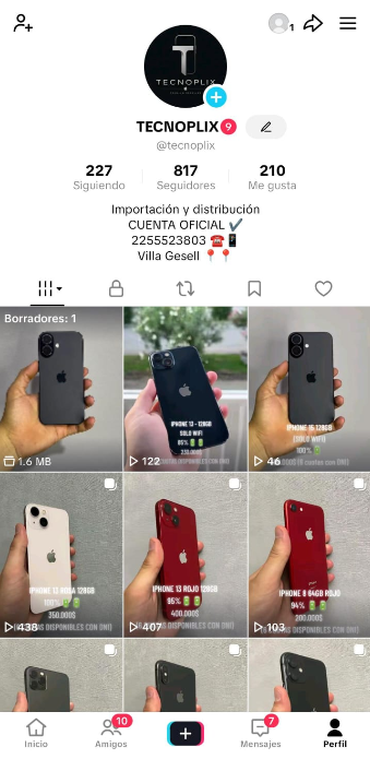 Perfil de TikTok de Tecnoplix